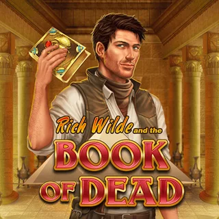 Book of Dead slot (Play'n GO)